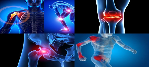 Healthcare Services at Top Multispecialty Hospital in Faridabad